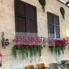 حجر منقبي بحري باسعار منافسة