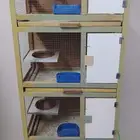 محكر 4 عيون ومحكر عين واحده