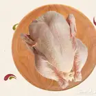 دجاج مبرد للمطاعم والأسر المنتجه