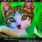 تم البيع تلفزيون سامسونج كيو لد 85 بوصة Qled شاشة سامسونق