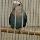 روز ذكر منتج