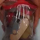 الخيل