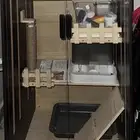 بيت قطط