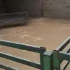 حضاير حوش للإيجار