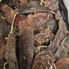 فلفل عدني يمني جديد