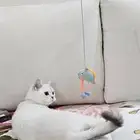 قطه سكوتش ستريت