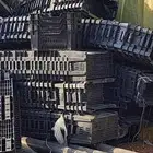 للبيع صناديق خضار تالفه اكثر من الفين صندوق