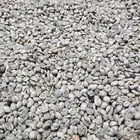 بن يمني حرازي تفاحي. من مزرعتي مربي على التربية التقليدية