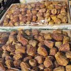 الدوادمي سكري مفتل فاخر ماشاءالله