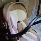 كارسيت