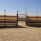 مخيم فبراير للأيجار اليومي