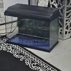 حوض سمك للبيع