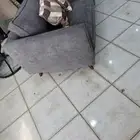 كنب حرف L ماركةابيات