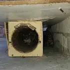 وب ر وب ران