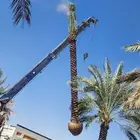 نقابل عربي الطول 4 إلى 7 متر