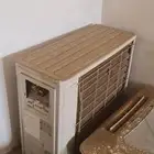 سبيلت جري كاست