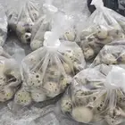 بيض سمان بلدي مخصب