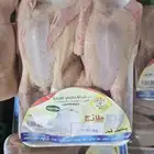 بط بكيني ارنب ديك بلدي سمان زغاليل حمام فرنسي