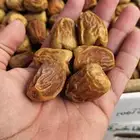 الدوادمي وصل الطيب سكري مفتل و جالكسي