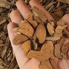 مروكي طبيعي ميني سوبر