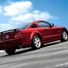 مطلوب موستنج 8v