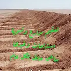 تعقيم الاجفر الخوير وماجاورها