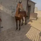 حصان إنتاج سباقق   .