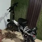 الموقع تبوك ضبا متواجد سكرتو للبيع