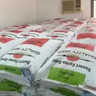 بذور برسيم . سرالصحراء