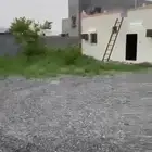 بيوت في السهبي بمربه