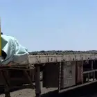 تريله سطحه للايجار الشهري