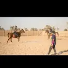 تدريب ركوب خيل