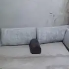 مساند ظهر العدد 12 حبه واثنين مركا نضييفه
