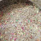 أكل طيور بادجي(طيور الحب)