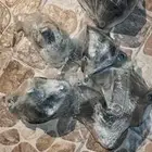 كراسي مكينه اكورد