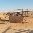 شبك كبير شبك للغنم وشب ثاني لنياق شبك دجاج كبير