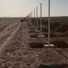 مقاول شبوك ومضلات وهناجر