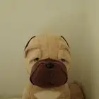 لعبة كلب قطني سيتي ووك