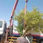 ونش تبوك لجميع أعمال النقل داخل وخارك تبوك