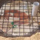 حفر بياره خزان مياه