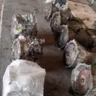 توضيب جيرات قيرات عادي واتوماتيك ودبلات وجيرات مستوردة