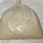 خضير ابيض طري