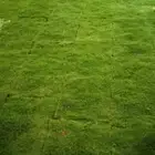 ثيل سي 2000الخرج في القصيم