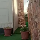 حجر تنومه تلبيس