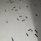 مبلط با ستاني شغل بلاط سرمي  شغل ت سر برسلان  يشاني شغل بلاط