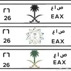 لوحه مميزه للبيع