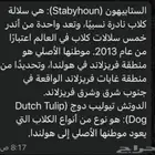 كلب للبيع