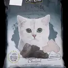اكل قطط كيتين