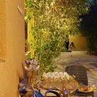 قهوجين و صبابين الرياض