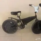 سيكل كوبرا